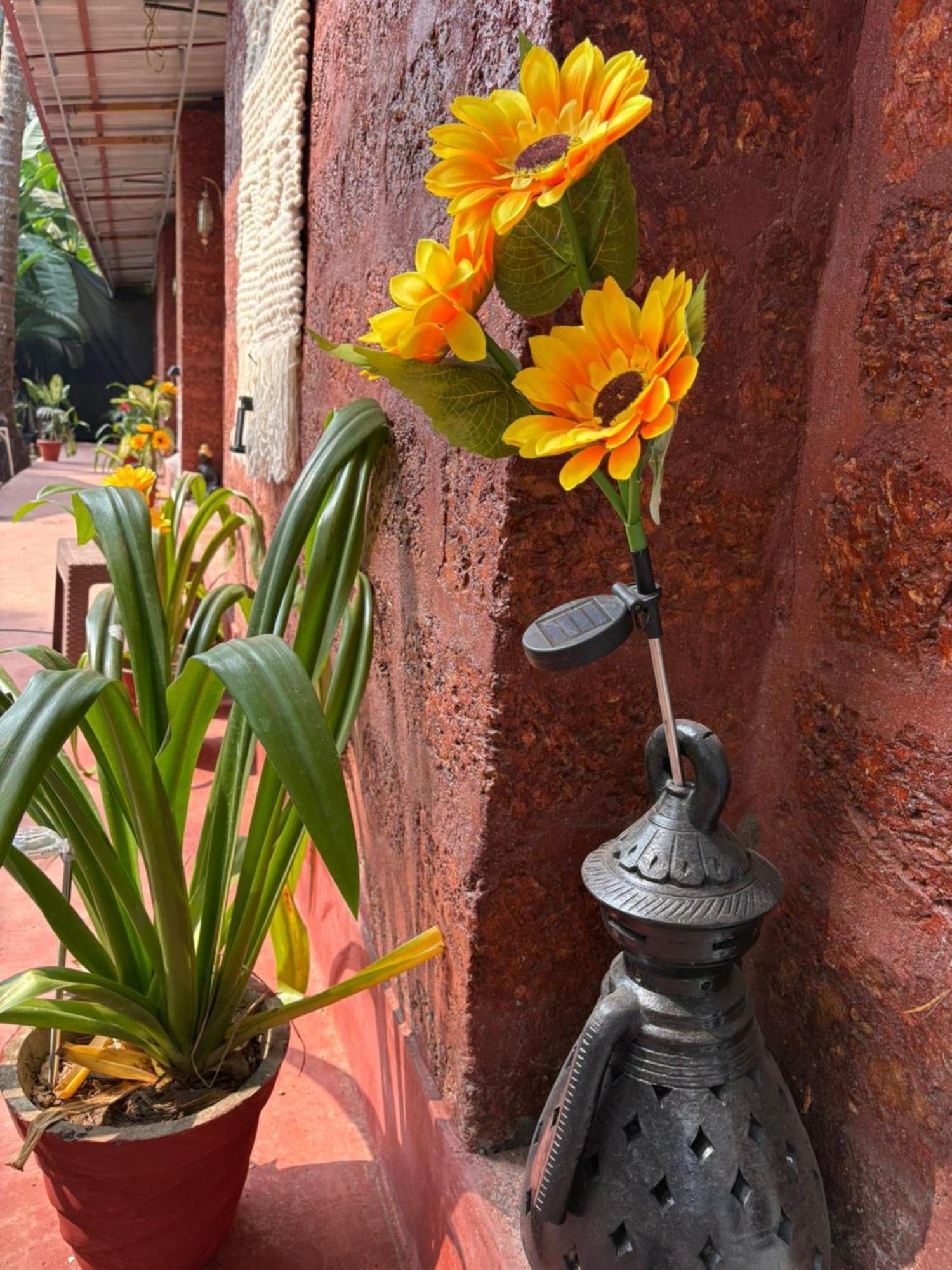 The Charming Nights Hotel Palolem Buitenkant foto